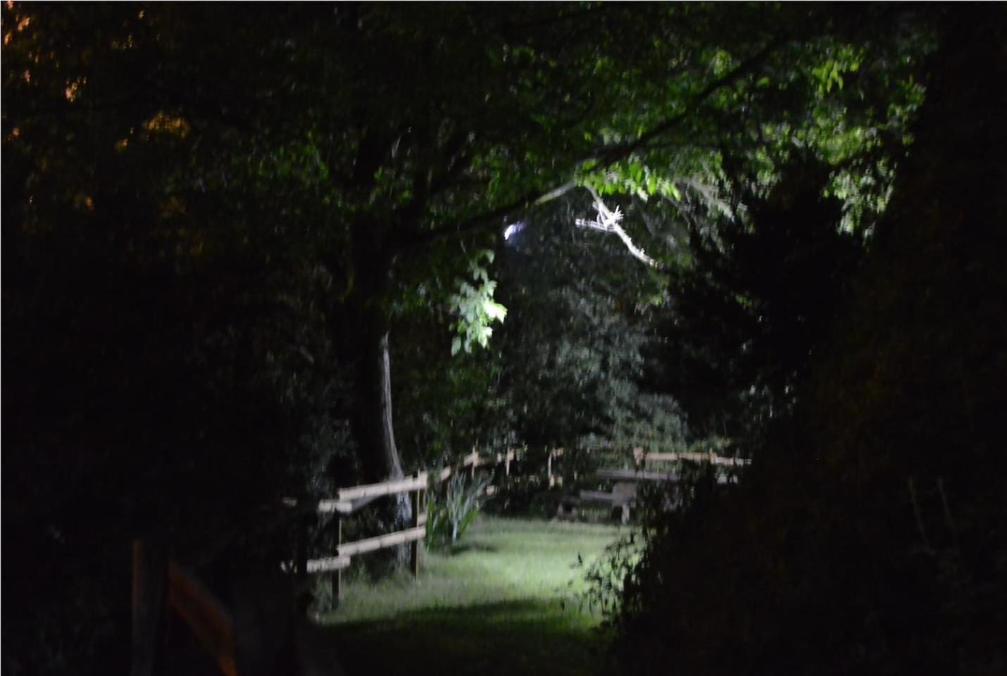 La Vinaza Ordesa Ainsa Casa Rural Laspuña Zewnętrze zdjęcie